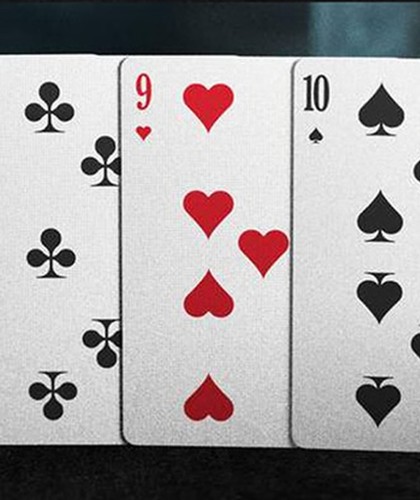 Slate Tally-Ho Playing Cards