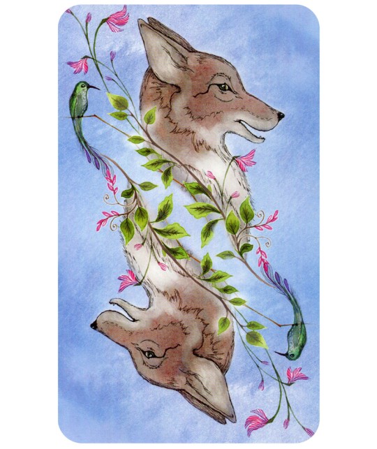 Spirit Animal Tarot Cards Cico Books