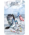 Spirit Animal Tarot Cards Cico Books