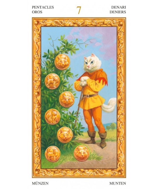 Tarot Of White Cats cards deck Lo Scarabeo