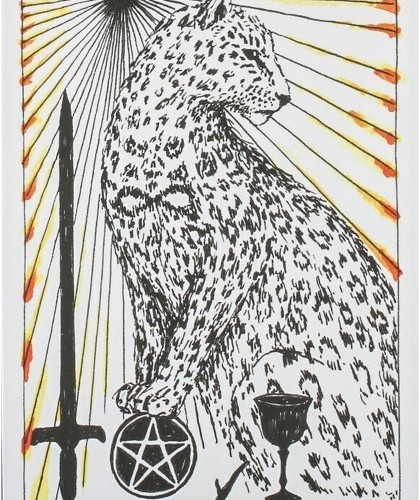 The Wild Unknown Pocket Tarot Cards Harper One