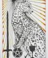 The Wild Unknown Pocket Tarot Cards Harper One