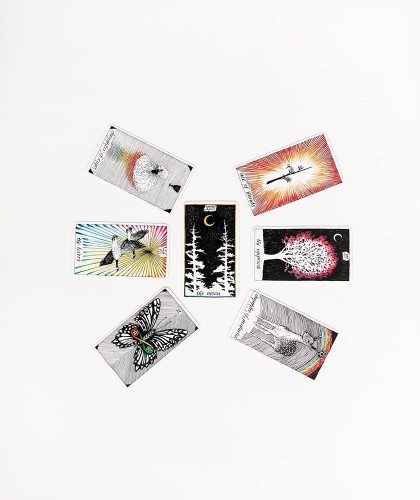 The Wild Unknown Pocket Tarot Cards Harper One