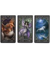 Tarot Anne Stokes Gothic