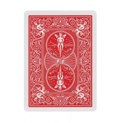 Carte Flap Spate Vertical