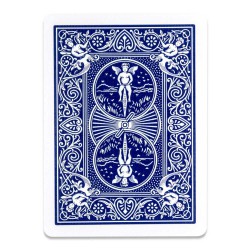 Bicycle Mental Photography