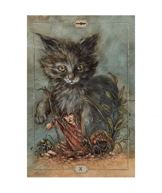 HUSH Carti de Tarot