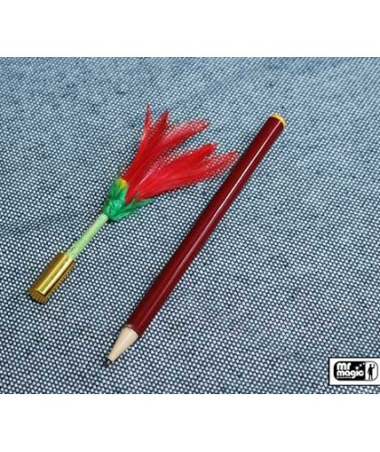 Pencil to Flower by Mr. Magic