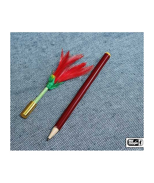 Pencil to Flower by Mr. Magic