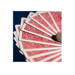 GT Speedreader Marked Deck Mandolin plus Online effect