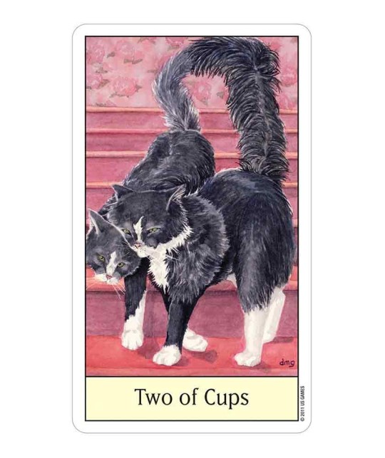 Cats Eye Tarot