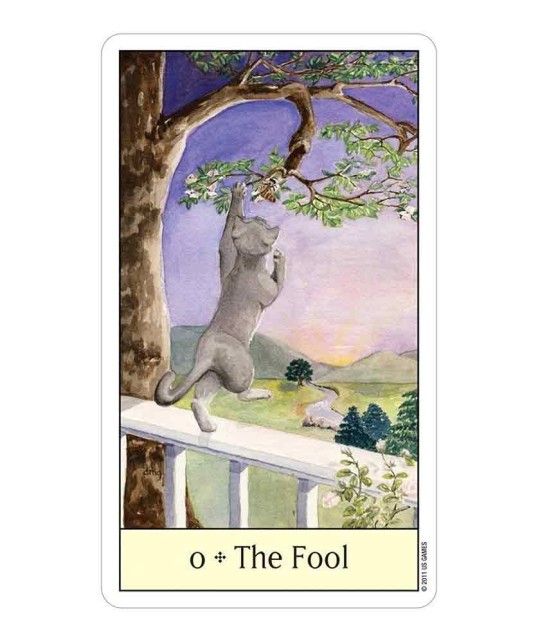 Cats Eye Tarot