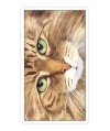 Cats Eye Tarot